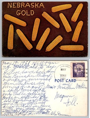 Nebraska Gold Corn Ears Cornhusker State Postcard PB296-P