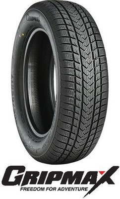 Gripmax Suregrip eWINTER XL 215/45 R17 91V