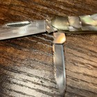 Bear & Bull Pearl Jacket Knife New In Box — photo 4