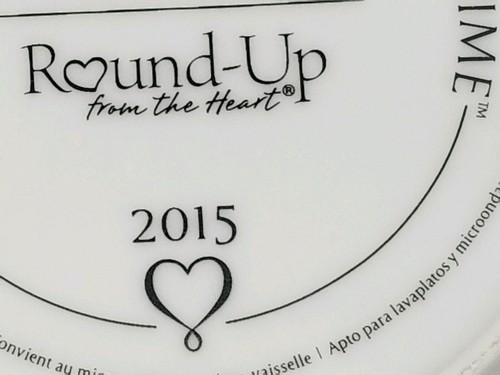 2015 Pampered Chef "Round Up From the Heart" Plate "Feeding Families" Bowl - Picture 5 of 5