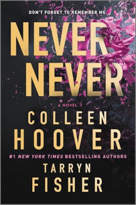 Never Never: A Romantic Suspense Novel of Love and Fate - Paperback NEW Hoover,