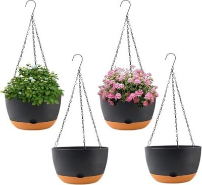 where to buy air plants near me Sale: 50% Off