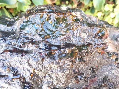 Very large Blue Green Mexican Amber 3995g Bark Shaped B grade collection piece - Picture 3 of 10