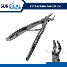 Pedo Extracting Forceps #H Dental Surgical Instruments Stainless German Grade