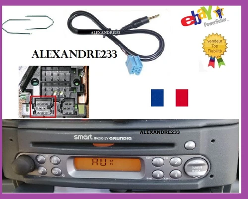 Auxiliary cable adapter aux mp3 for Smart 450 Grundig + 2 extraction keys