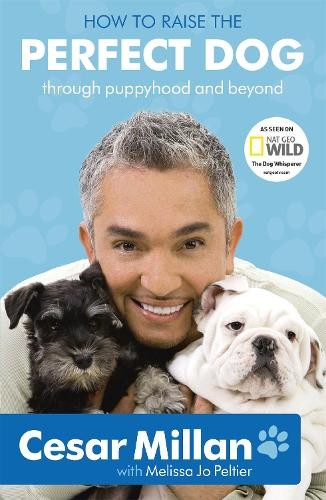 Cesar Millan How to Raise the Perfect Dog (Paperback) (UK IMPORT) - Picture 1 of 1