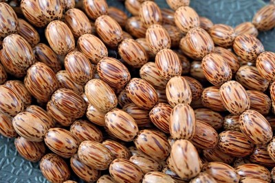 10mm x 6mm Coconut Palmwood Saucer Bicone Premium Wood Beads 65 beads in pk cw11 10mm x 6mm Coconut Palmwood Saucer Bicone Premium Wood Beads 65 beads in pk cw11