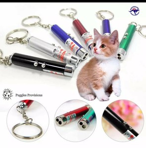 pointer toy