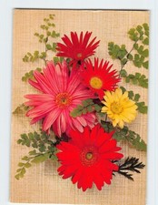 Postcard Bunch of Daisies Picture