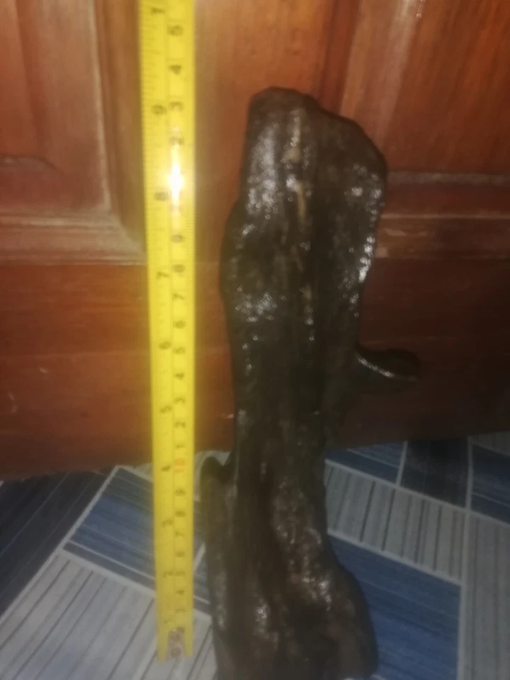 Malaysian Driftwood - Image 3 of 4