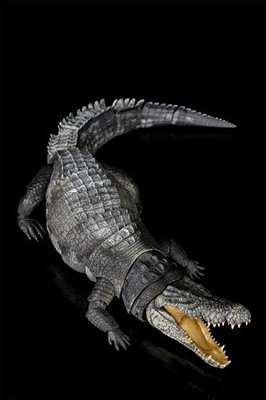 Nanmu Studio Smart Series Saltwater Crocodile Figure THE OMEN KING NEW/US SELLER