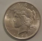 1923 Peace Silver Dollar Coin (Brilliant Uncirculated)