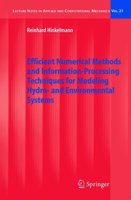 Efficient Numerical Methods and Information-Processing Techniques for Modeling H