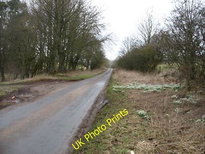 Foto 12x8 Die Spur nach Greystoke Gill Die Schneeglöckchen waren in Hülle und Fülle dieses c2015