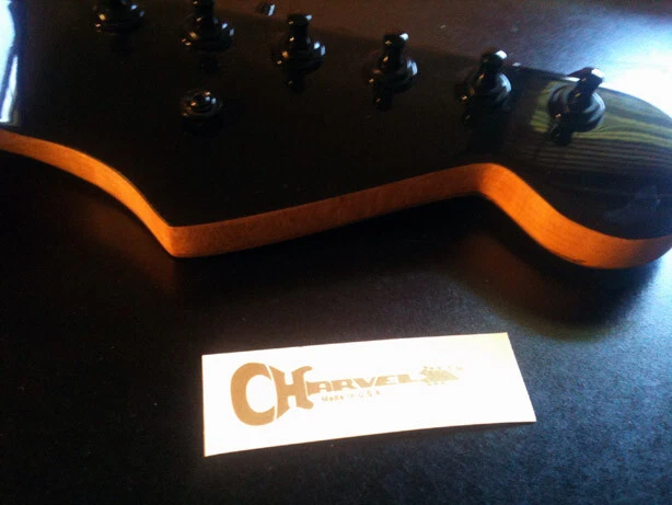 Calcomanía Charvel San Dimas tobogán acuático tipo serigrafiado NOS dorado metálico Foto 4 de 4