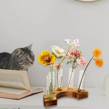 Glass Test Tube Vases Tabletop with Wooden Stand Plant Terrarium Plant