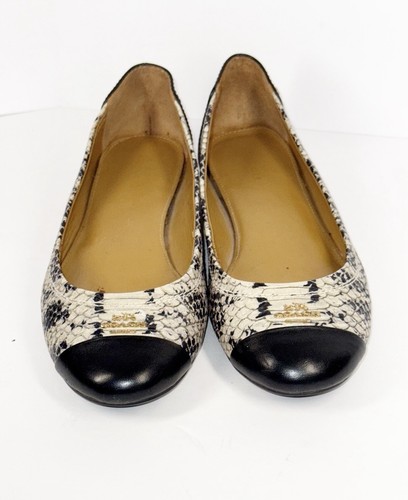 Ballerine Coach Chelsea Snake Cap Toe Pelle Slip On Classic Ufficio Tg 7 B - Foto 15 di 17