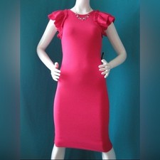 Express Women’s Pink Ruffle Dress size XL