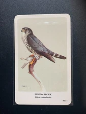 GENERAL CIGAR COMPANY LTD. - NORTHERN BIRDS BY FENWICK LANSDOWNE - U PICK