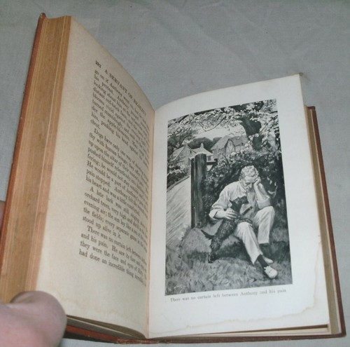 A Servant Of Reality by Phyllis Bottome 1919 First Edition - Picture 9 of 11