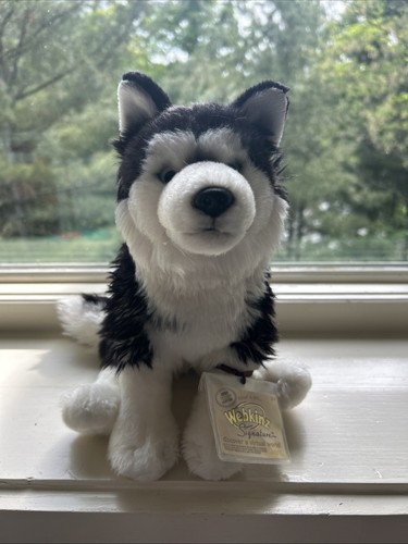 Webkinz Signature Siberian Husky Plush Stuffed Dog With Code WKS1049