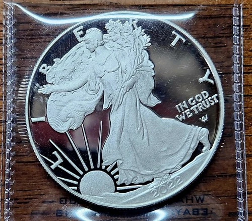 2022 W $1 Ultra Cameo Proof Fine Silver Eagle Raw Bullion Gorgous Coin USA 🇺🇸