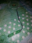 Foto 1 di 2