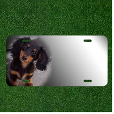 Custom Personalized License Plate Auto Tag With Dachshund Dog Breed Add Names