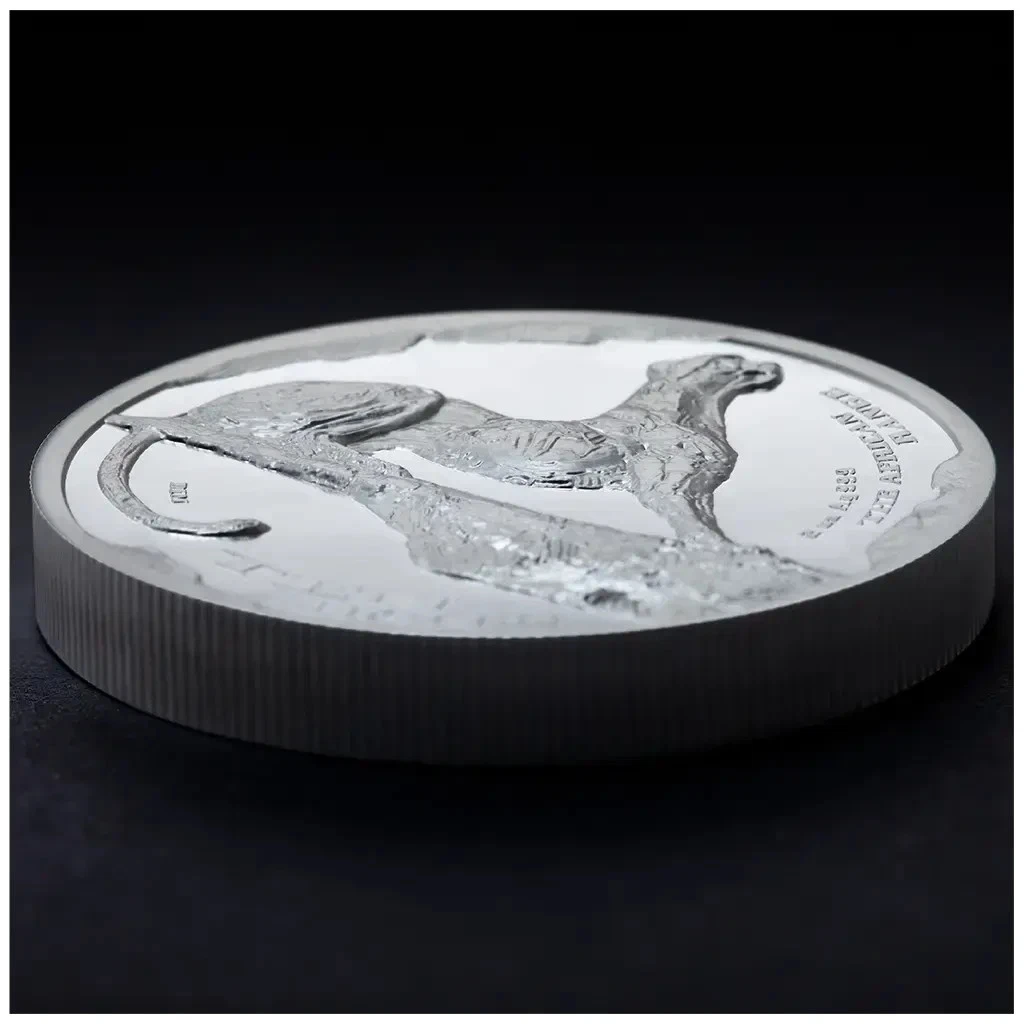 Silbermünze 1kg Cheetah High Relief Künstler-Ausgabe Südafrika - 2026 - PP