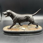 Picture 8 of 15