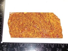 Lovely Coquina / Script Stone Jasper Slab - 147g - Old Stock / Old Collection