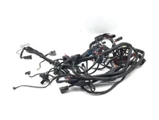 Main Engine Wiring Harness 1999 Harley Road King Classic EFI FLHRCI 3216
