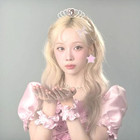 Qyootie Collections