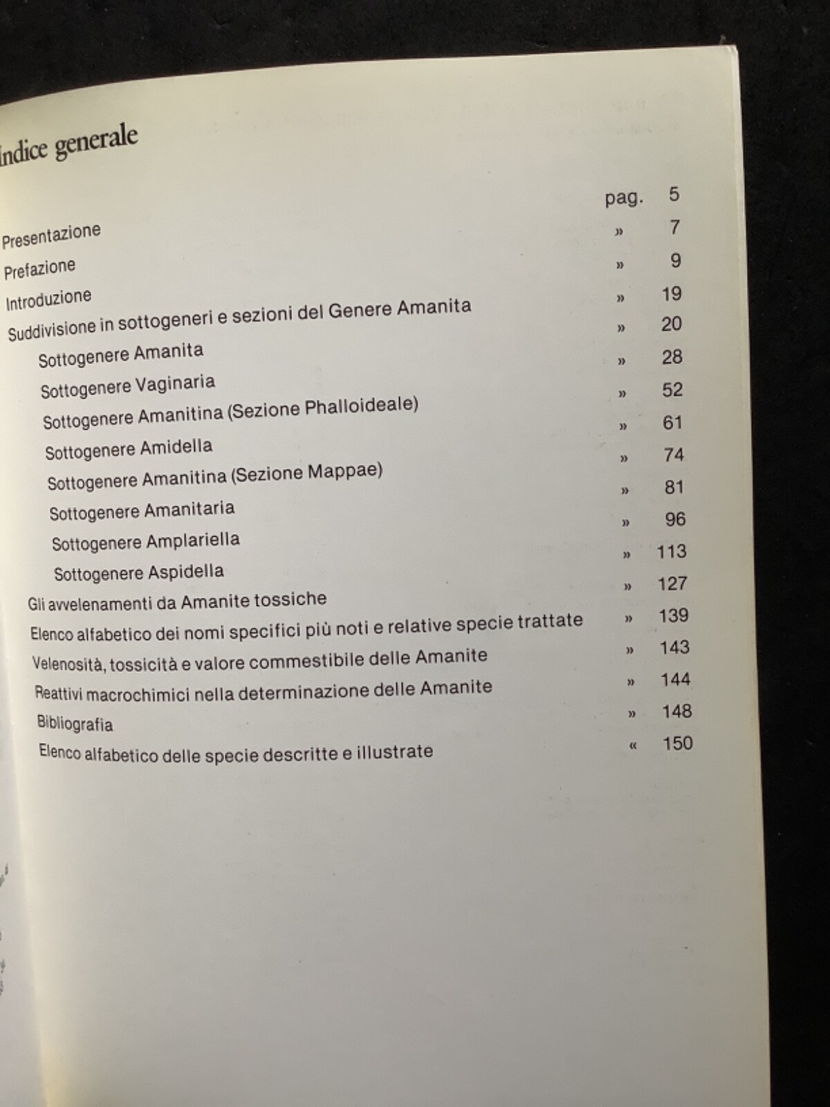 Foto 12 di 12