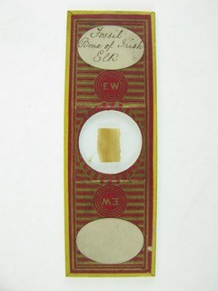 Antique microscope slide by Edmund Wheeler. Fossil Bone of Irish Elk (Extinct)