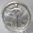 1991 American Silver Eagle-1 ozt. .999 Fine Silver - Free Shipping         (741)