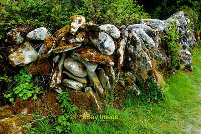 Photo 6x4 The Burren - R480 - Stone Wall & Shrubbery near Poulnabrone Dolmen Si