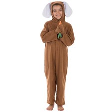 Charlie Crow 3-9 Yrs | Brown Rabbit / Hare / Bunny costume for kids