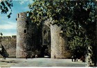 Carte Postale - 30 - Aigues Mortes - L'Entrée de la Ville - La Porte de la Garde