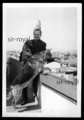 Deutscher Schäferhund und Dackel - 1970er - Teckel Dachshund Hund - Foto 6x9cm