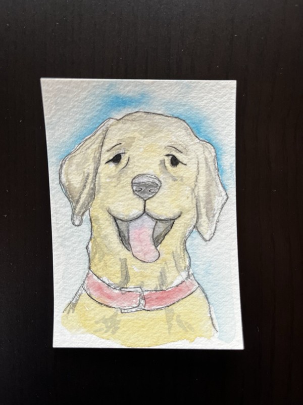 ACEO Original Watercolor Painting “Yellow Lab” By Connie Kline 2.5x3.5”