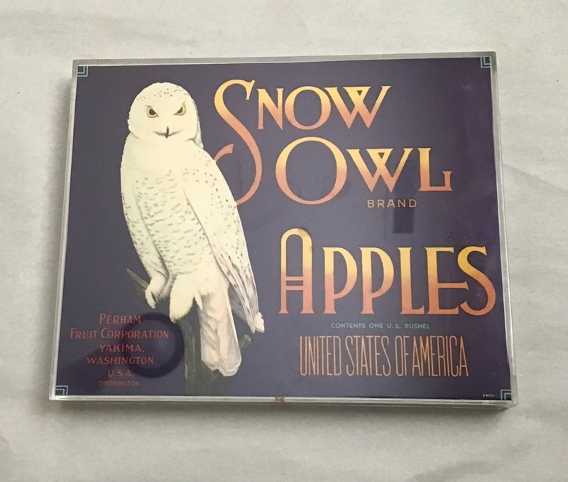 OWLS! 10" X 8.5" Snow Owl Brand Apples poster in plastic frame  NEW.