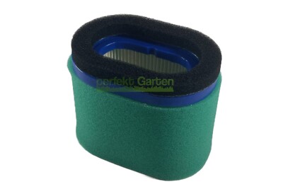 Luftfilter für Briggs & Stratton B&S Motor 123607 4224 4201 EuroGarden 410-1192