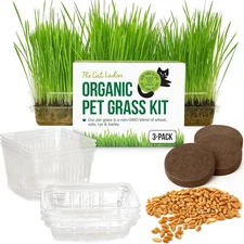 Cat Grass for Indoor Cats - Growing Kit - Organic Cat Grass Seeds, Soil and BPA 