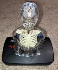 Lilly Pharmaceutical Woman Anatomical Model Pharmadesign Skeleton Brain Training