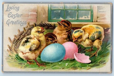1911 Easter Greetings Little Chicks Hatched Eggs Embossed Tuck Antique Postcard
