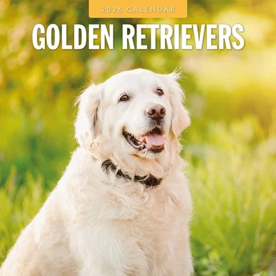 RED ROBIN PUBLISHING Golden Retrievers 2026 Square Wall Calendar