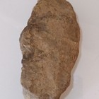 Native Indian Carved Tool Carving Of A Wolf — photo 4