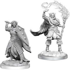 D D Nolzur's Marvelous Unpainted Miniatures: Elf Cleric Male