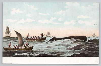 Men in Boats Sperm Whaling, The Chase, Hunting Postcard Deep Sea Fishing Ocean 